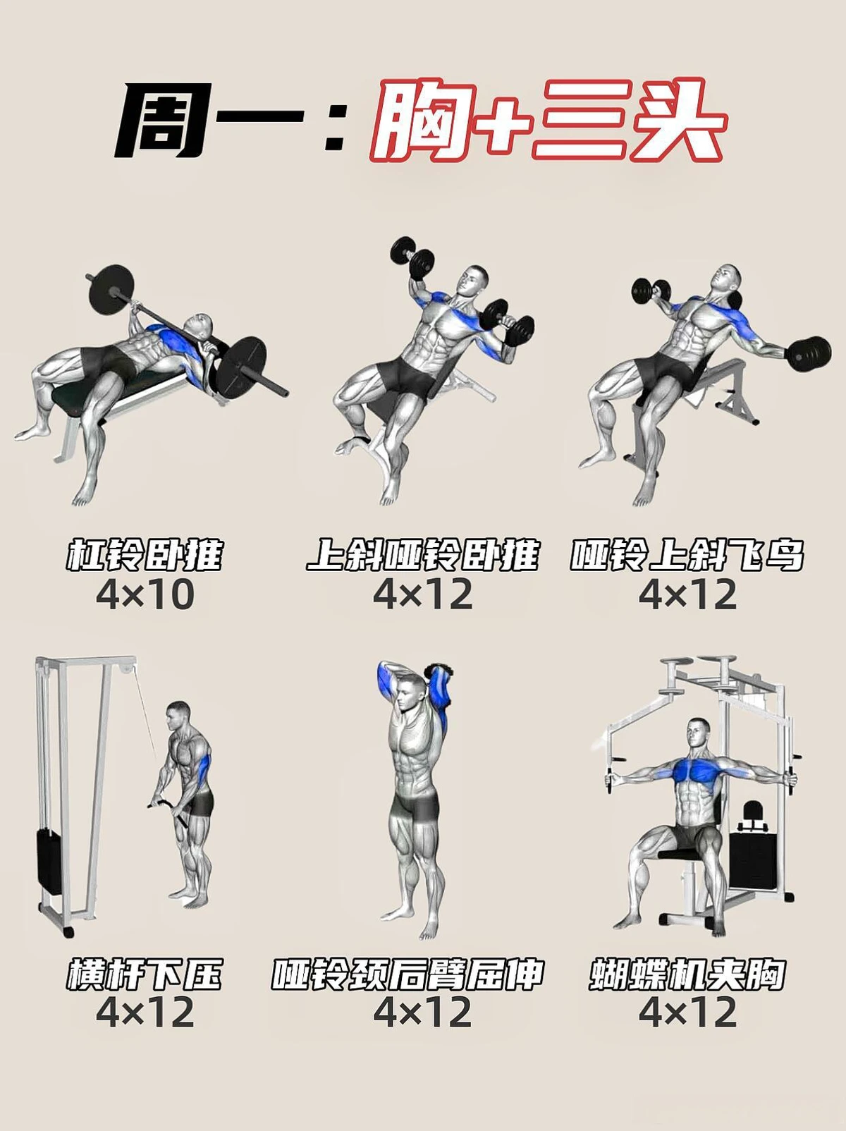篮球封闭训练中的体能提升方案_1